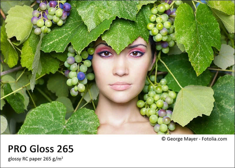 gloss265_2