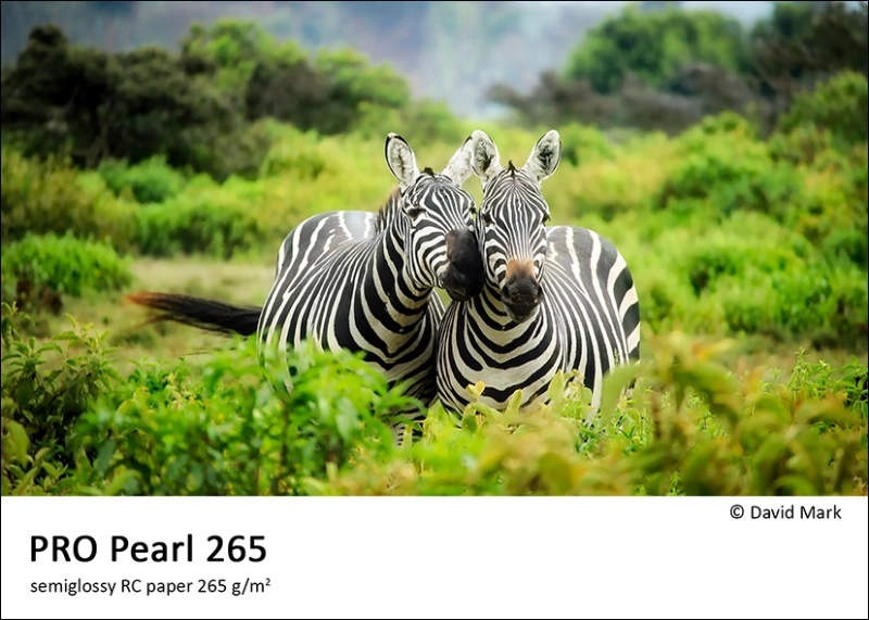 pearl265_2